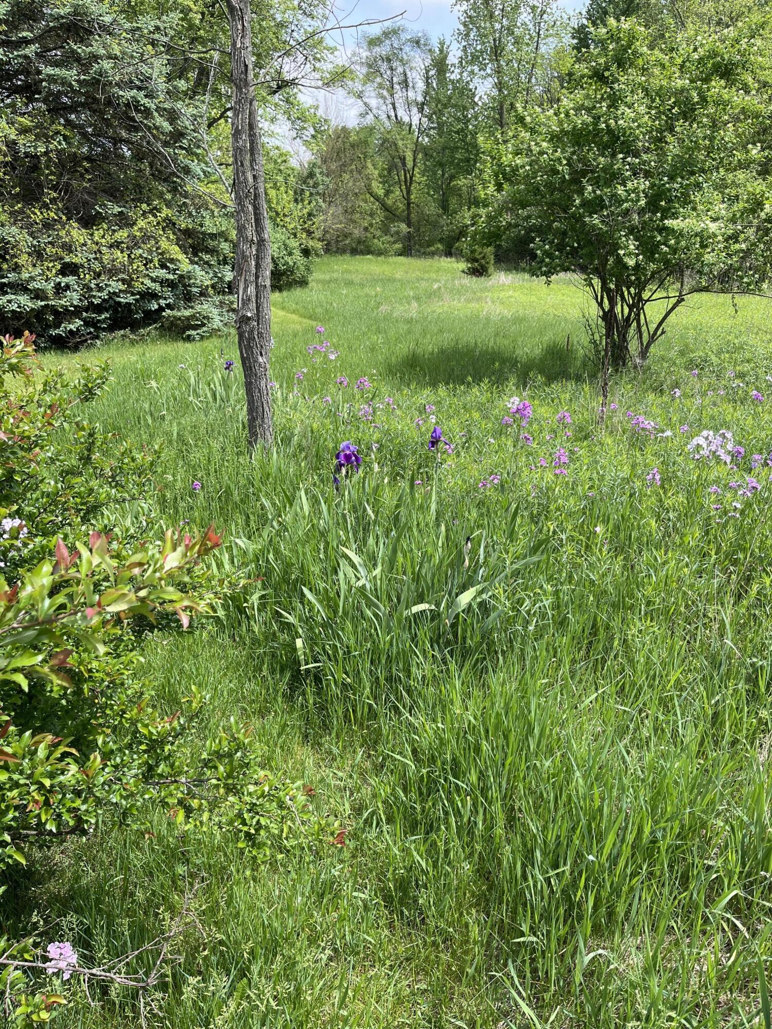 Plainwell, Michigan 49080, United States, 3 Bedrooms Bedrooms, ,1 BathroomBathrooms,Residential,Active,133338