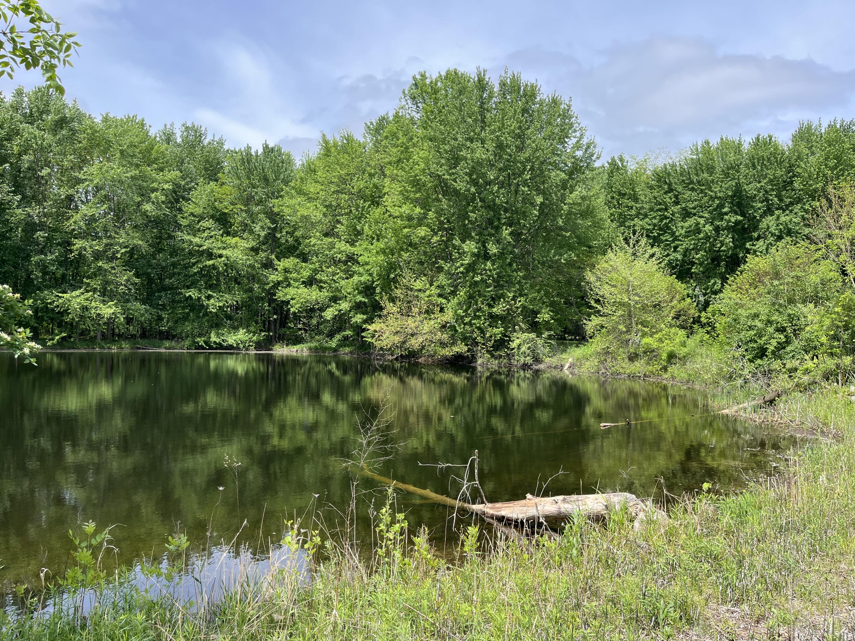 Plainwell, Michigan 49080, United States, 3 Bedrooms Bedrooms, ,1 BathroomBathrooms,Residential,Active,133338