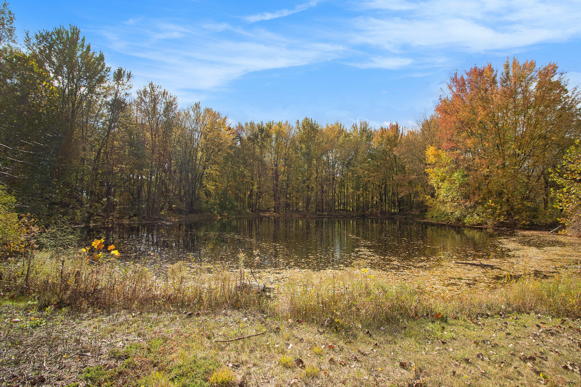 Plainwell, Michigan 49080, United States, 3 Bedrooms Bedrooms, ,1 BathroomBathrooms,Residential,Active,133338