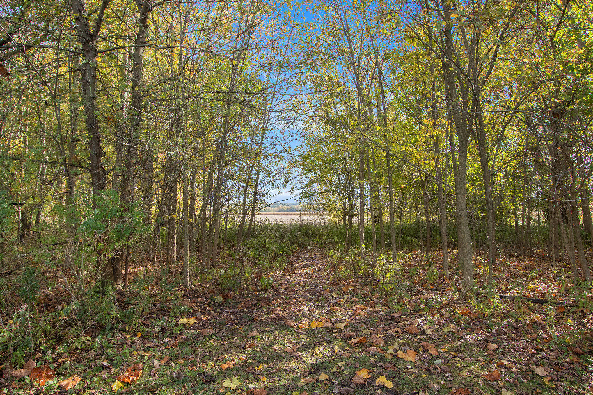 Plainwell, Michigan 49080, United States, 3 Bedrooms Bedrooms, ,1 BathroomBathrooms,Residential,Active,133338