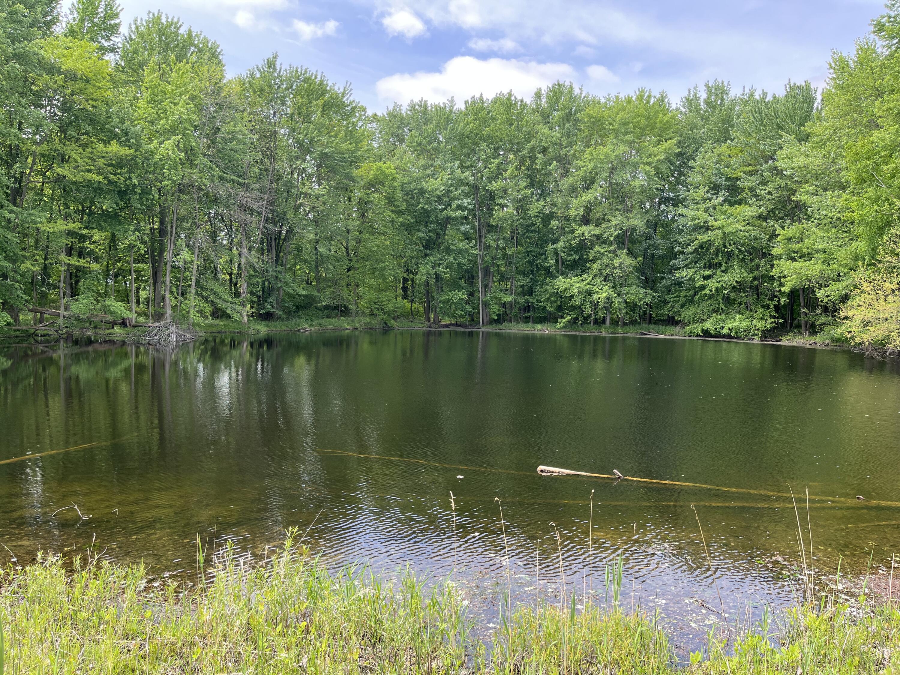 Plainwell, Michigan 49080, United States, 3 Bedrooms Bedrooms, ,1 BathroomBathrooms,Residential,Active,133338