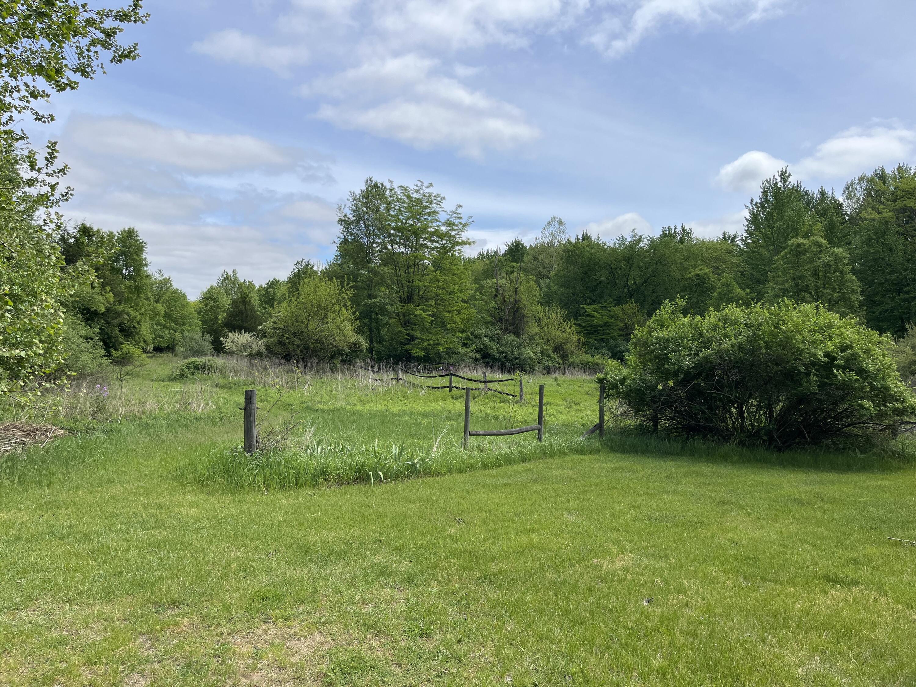 Plainwell, Michigan 49080, United States, 3 Bedrooms Bedrooms, ,1 BathroomBathrooms,Residential,Active,133338