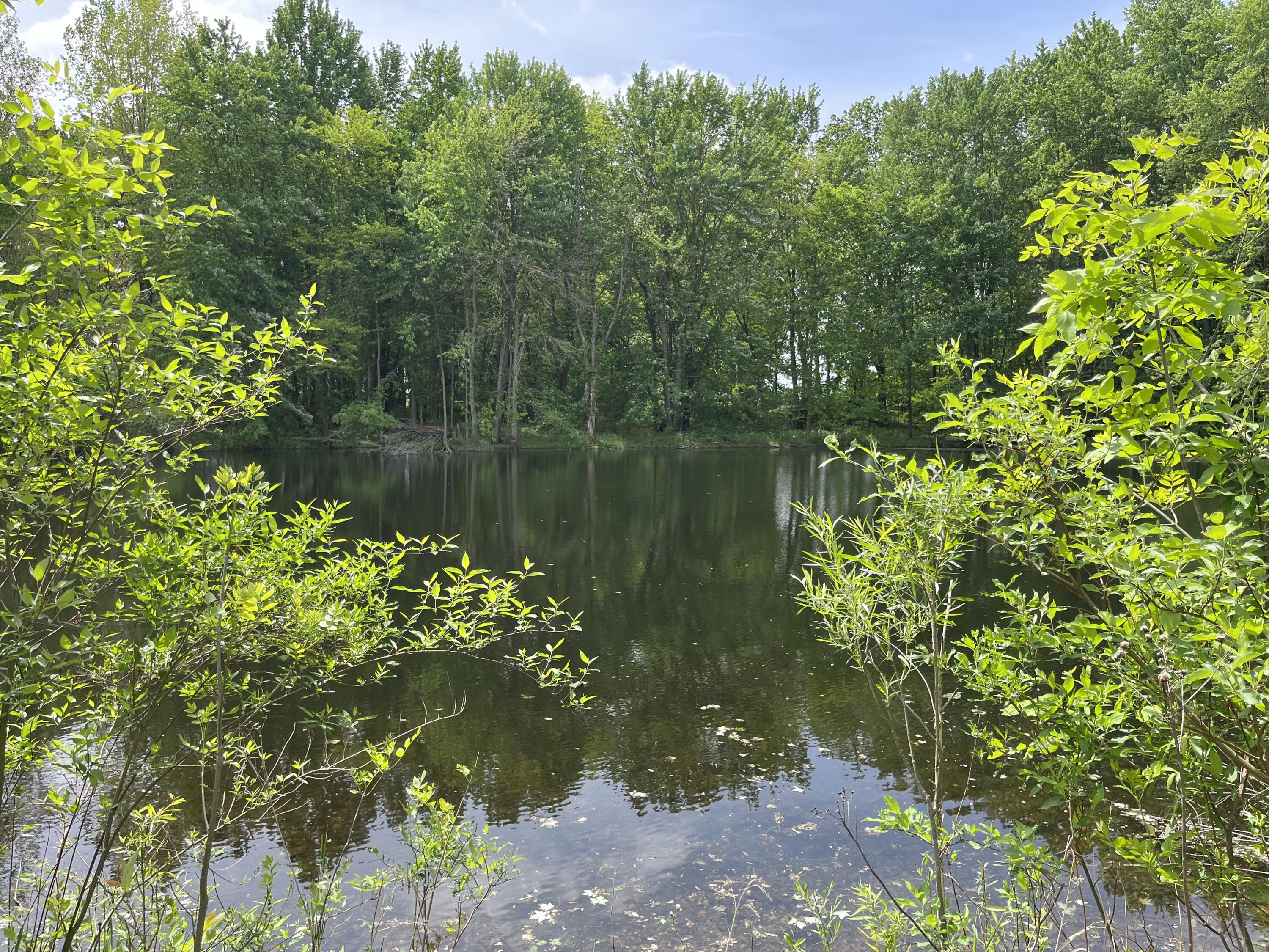 Plainwell, Michigan 49080, United States, 3 Bedrooms Bedrooms, ,1 BathroomBathrooms,Residential,Active,133338