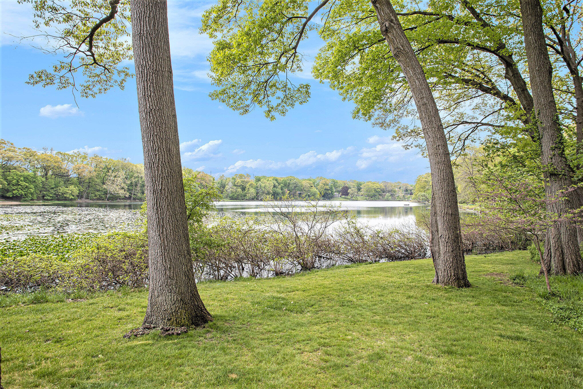 Kalamazoo, Michigan 49008, United States, 4 Bedrooms Bedrooms, ,4 BathroomsBathrooms,Residential,Pending,129901