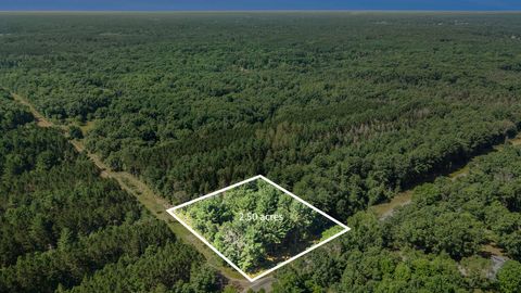 Lot D 85th Avenue Mecosta MI 49332
