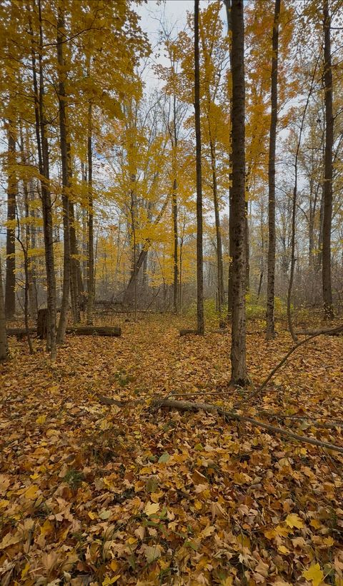 Photo of VL CR 653, Gobles, MI 49055 (MLS # 25060831)