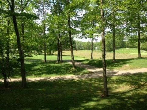 9137 Briarstone Drive Stanwood MI 49346