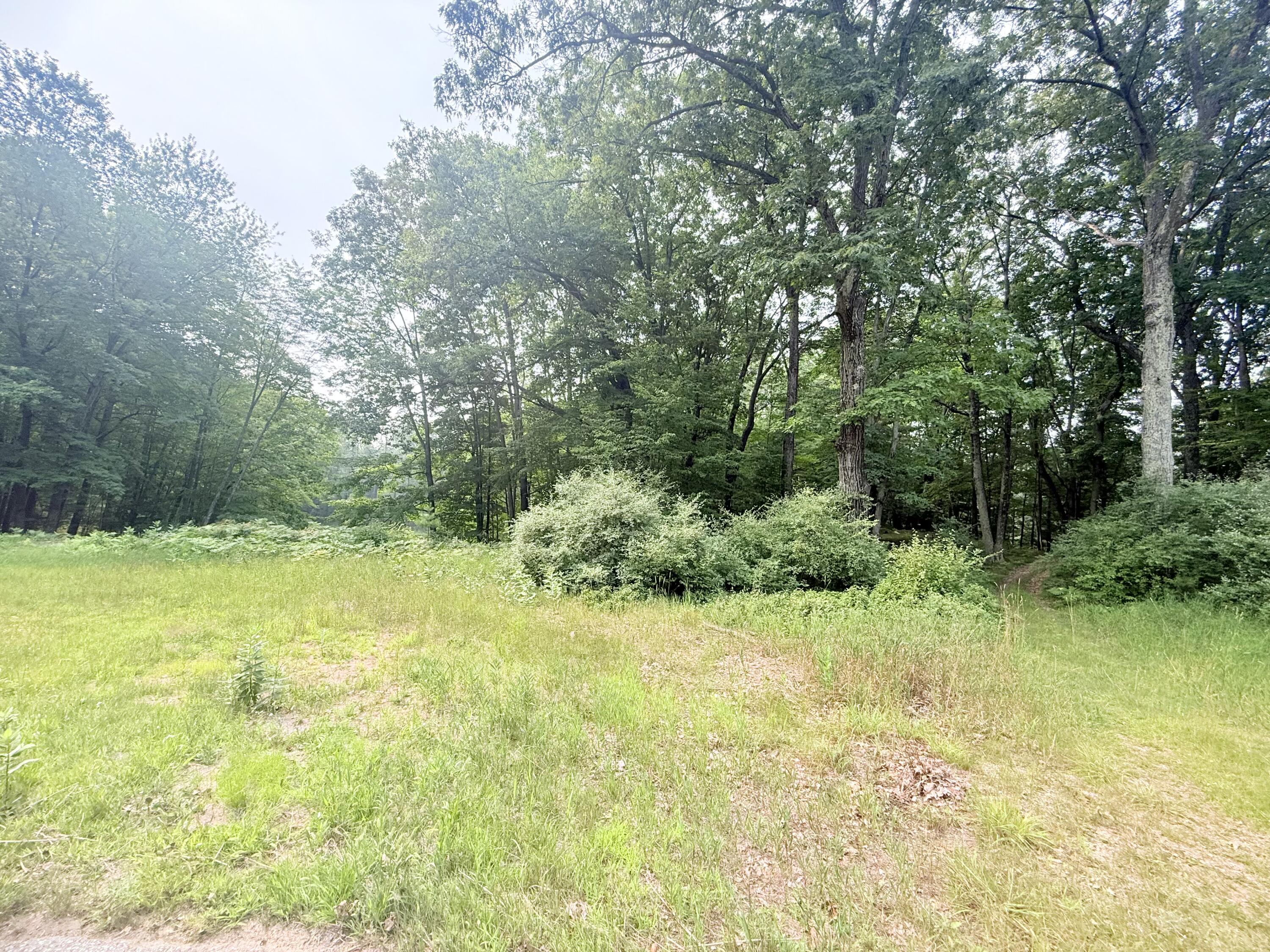 9137 Briarstone Drive