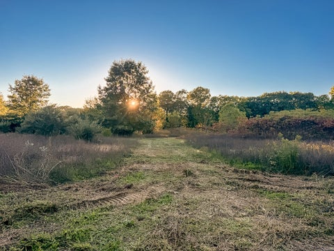 Photo for 3324 Pine Glen Drive