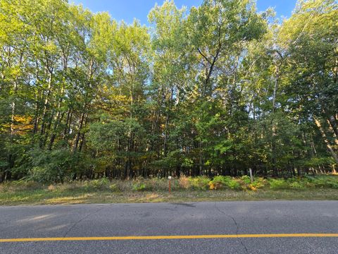 6718 Beechnut Ridge Canadian Lakes MI 49346