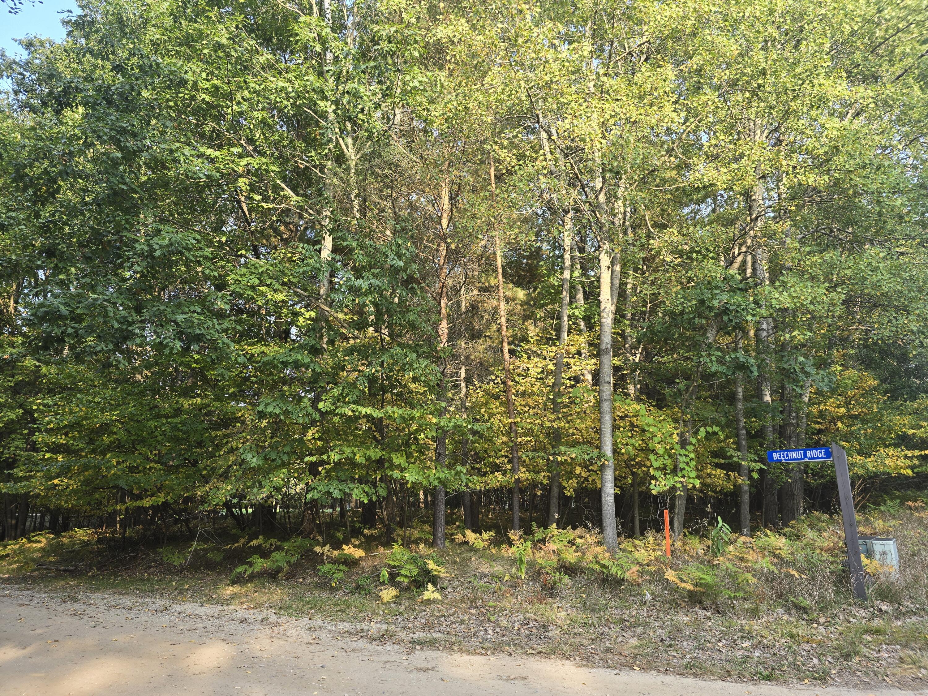 6718 Beechnut Ridge