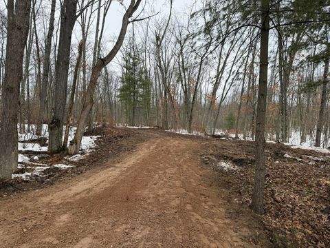 Photo of Steinberg Road, Wellston, MI 49689 (MLS # 26007264)