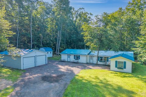 1051 Vallado Drive Lake Isabella MI 48893