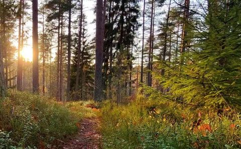 Photo of 3719 Bradford Street NE, Grand Rapids, MI 49525 (MLS # 25055027)