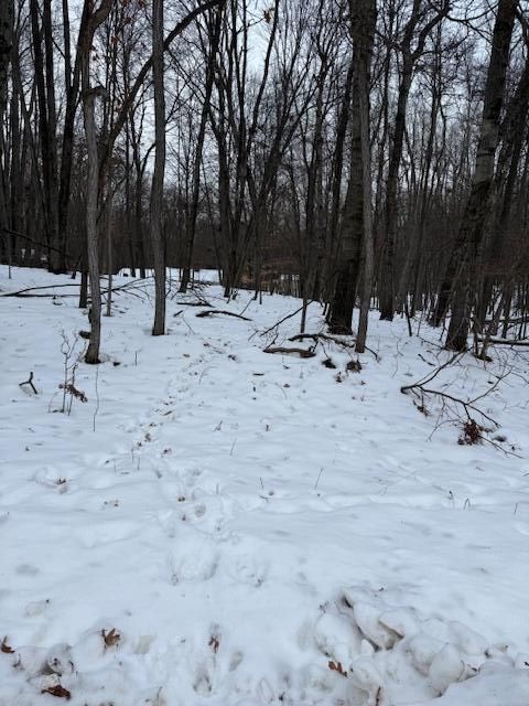 12090 Regina Drive Canadian Lakes MI 49346