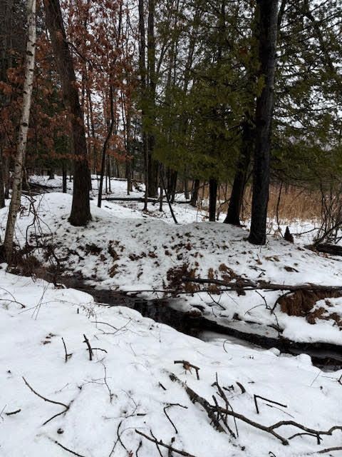 V/L 7 Mile Road Stanwood MI 49346