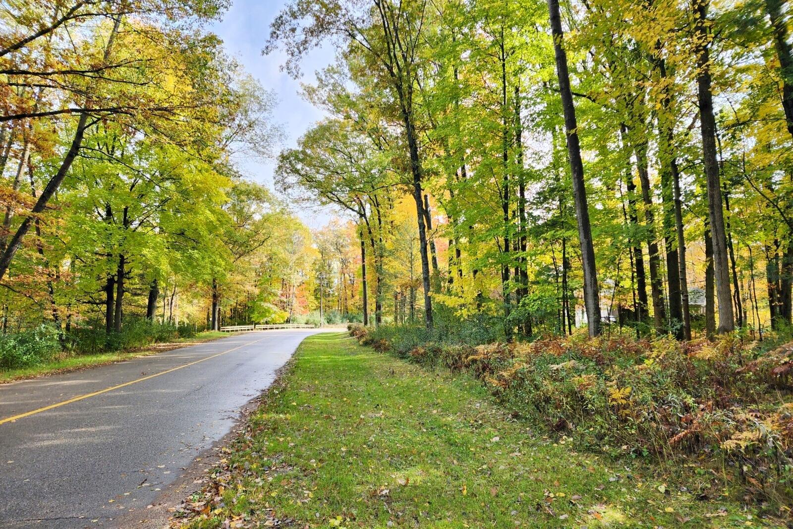 11875 Timberlane Drive