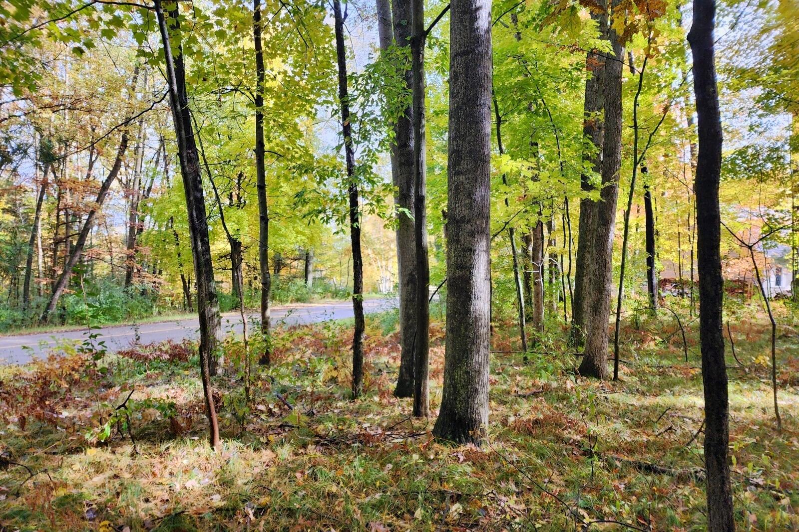 11875 Timberlane Drive