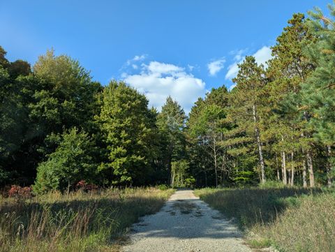 Photo of 6698 E Skeels Road, Holton, MI 49425 (MLS # 25050364)