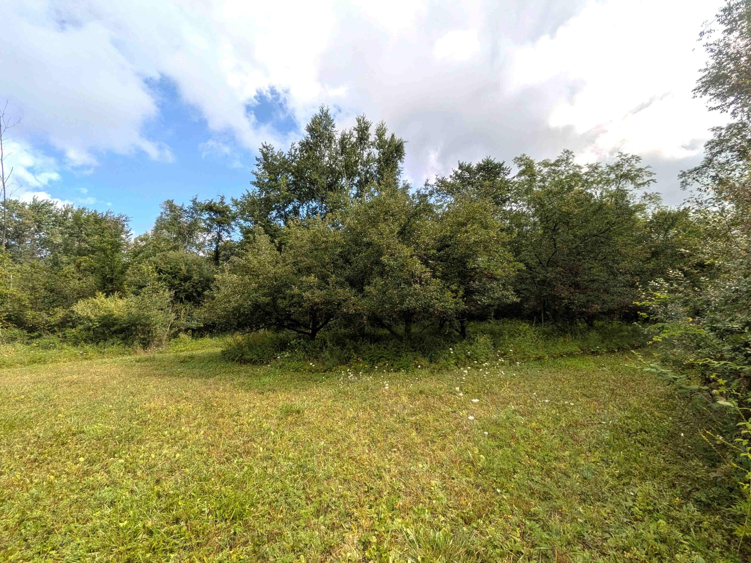 Listing 2