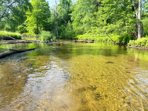 N 20th Avenue Marion MI 49665