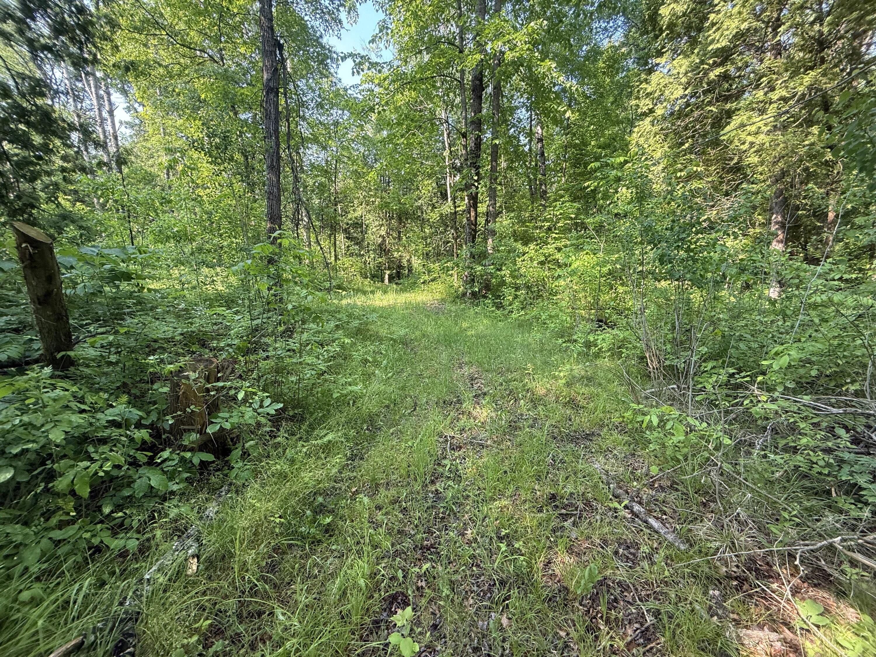 N 20th Avenue