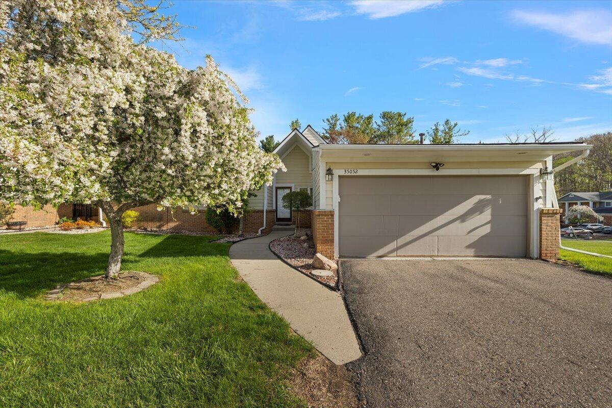35052 Meadow Lane