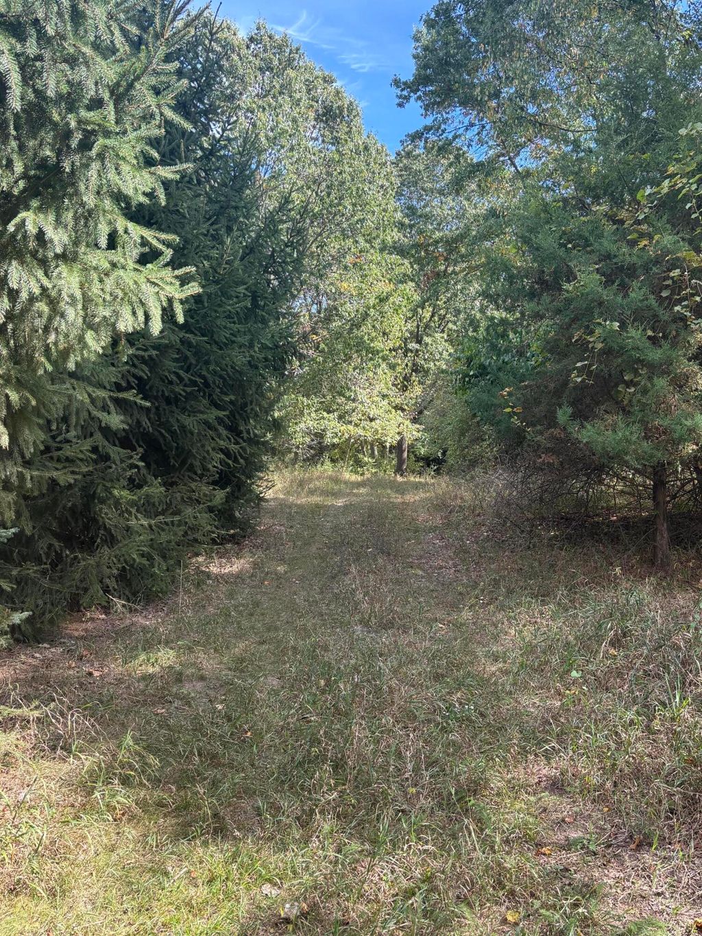 Photo of 10420 E Mosherville Road, Jerome, MI 49249 (MLS # 25052246)