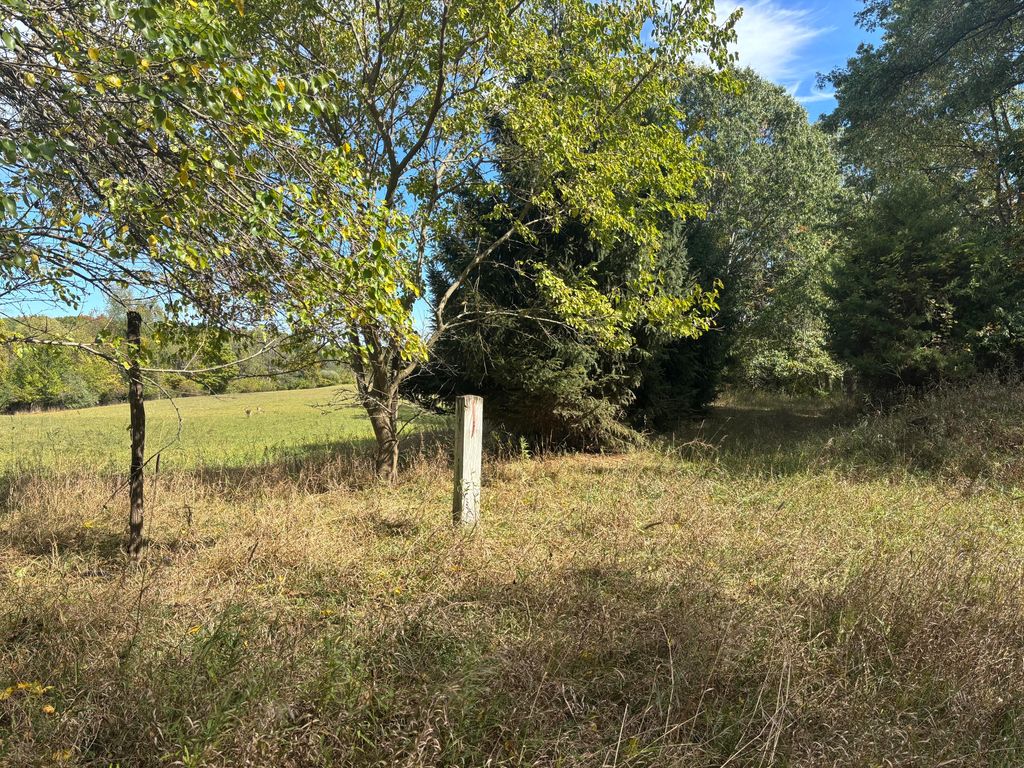 Photo of 10420 E Mosherville Road, Jerome, MI 49249 (MLS # 25052246)