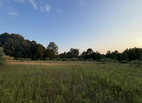 Photo of V/L E Pierce Road, Shelby, MI 49455 (MLS # 26054484)