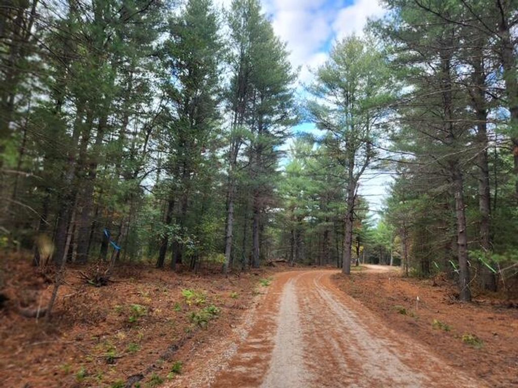 Photo of Parcel M Tatanka Trail, Baldwin, MI 49304 (MLS # 25052687)