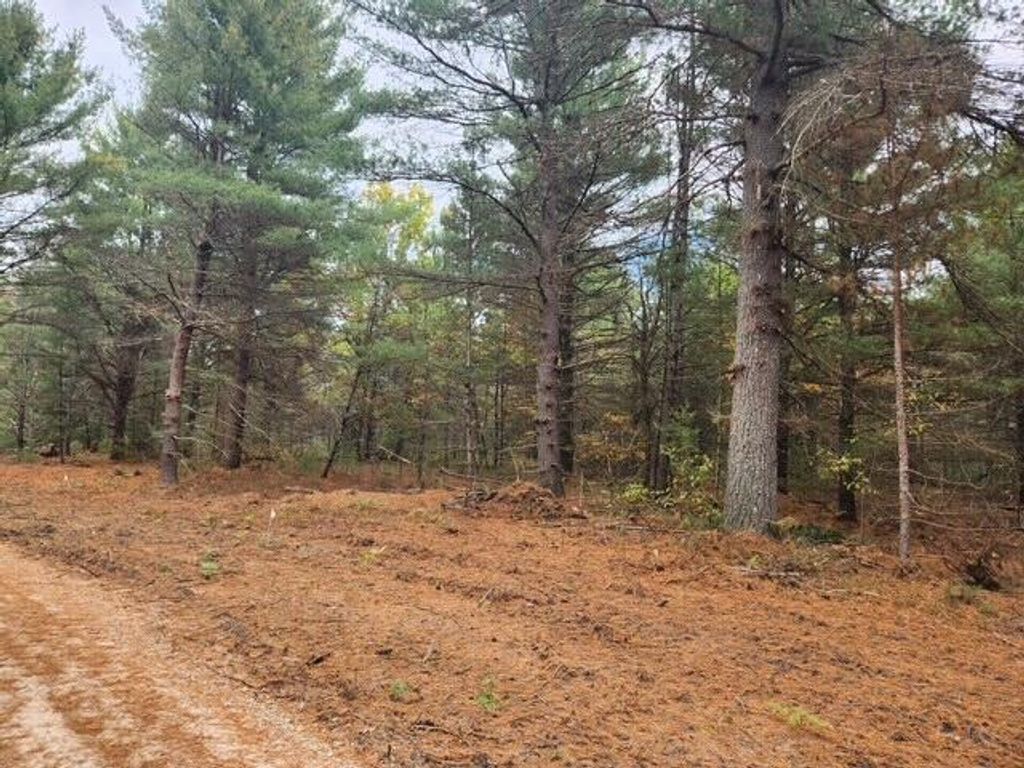 Photo of Parcel M Tatanka Trail, Baldwin, MI 49304 (MLS # 25052687)