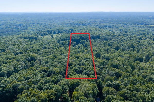 N PINE RIVER RD, LUTHER, MI 49656 - Image 7dfa63d2d12ec3170cba3f4a2dbeed6a/583243990