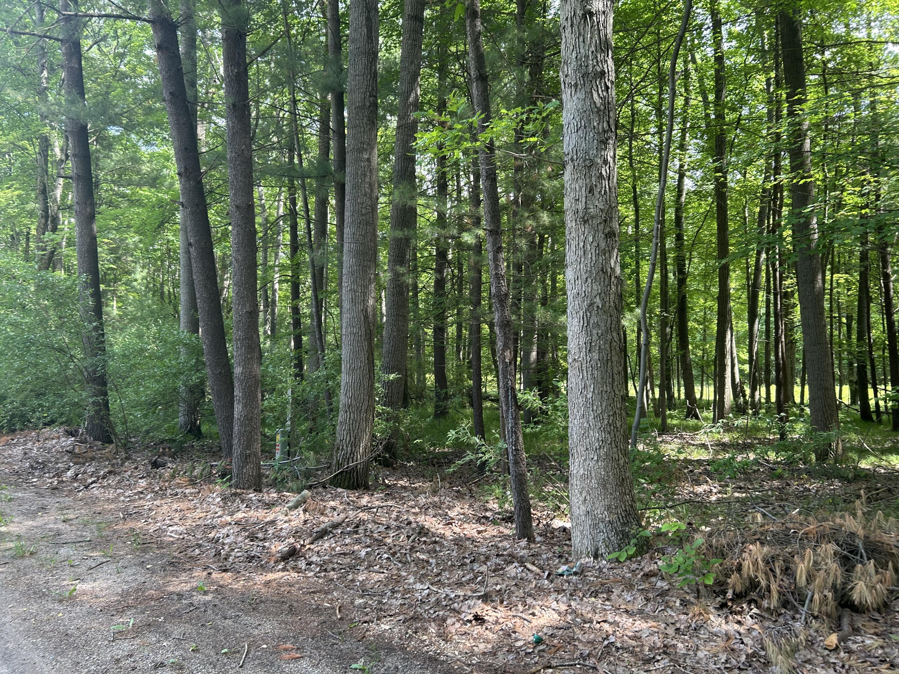 Photo 1 of 5 — 11409 Heather Lane Unit 35, Canadian Lakes, MI 49346
