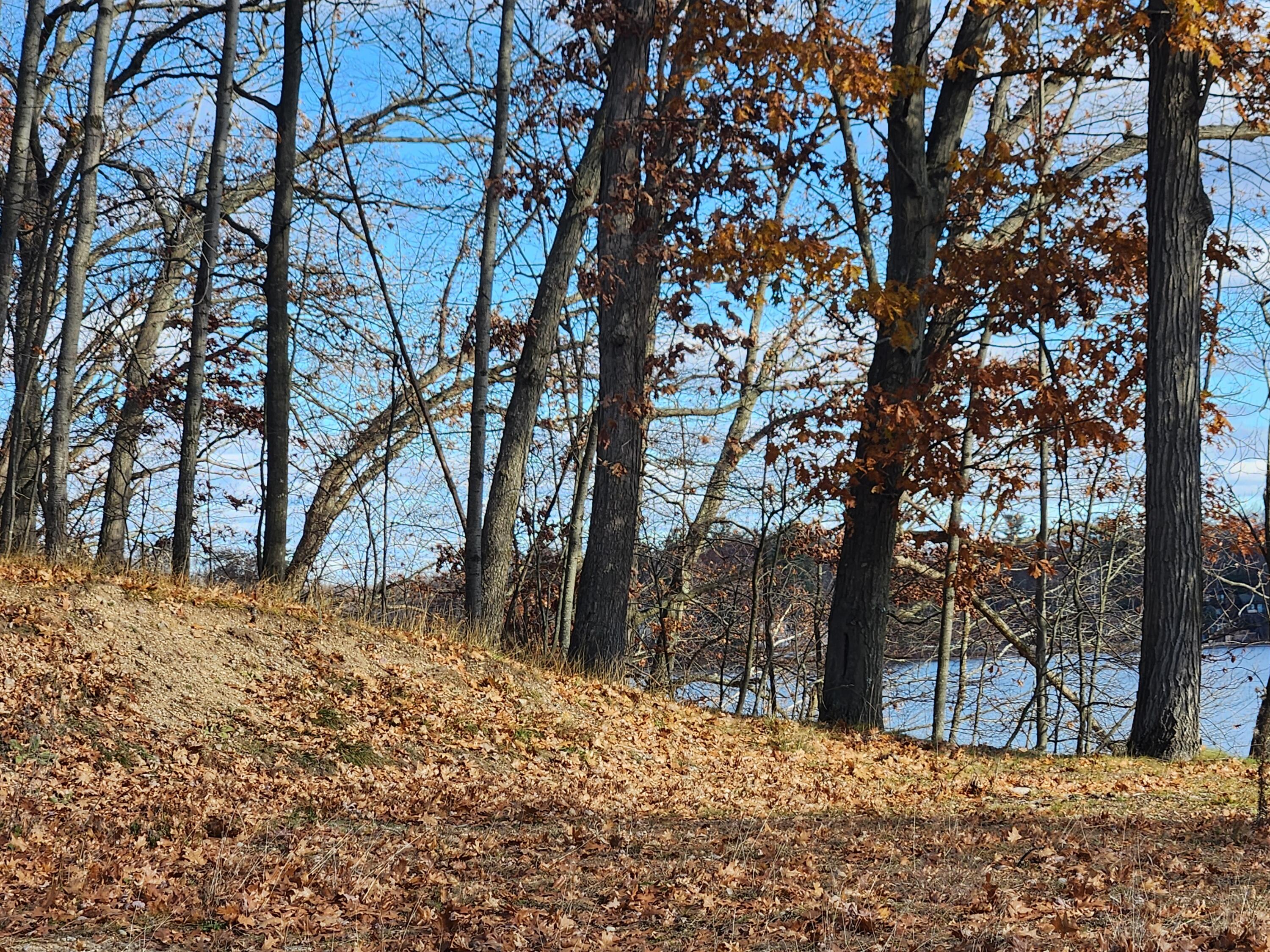 10980 N Marywood Drive