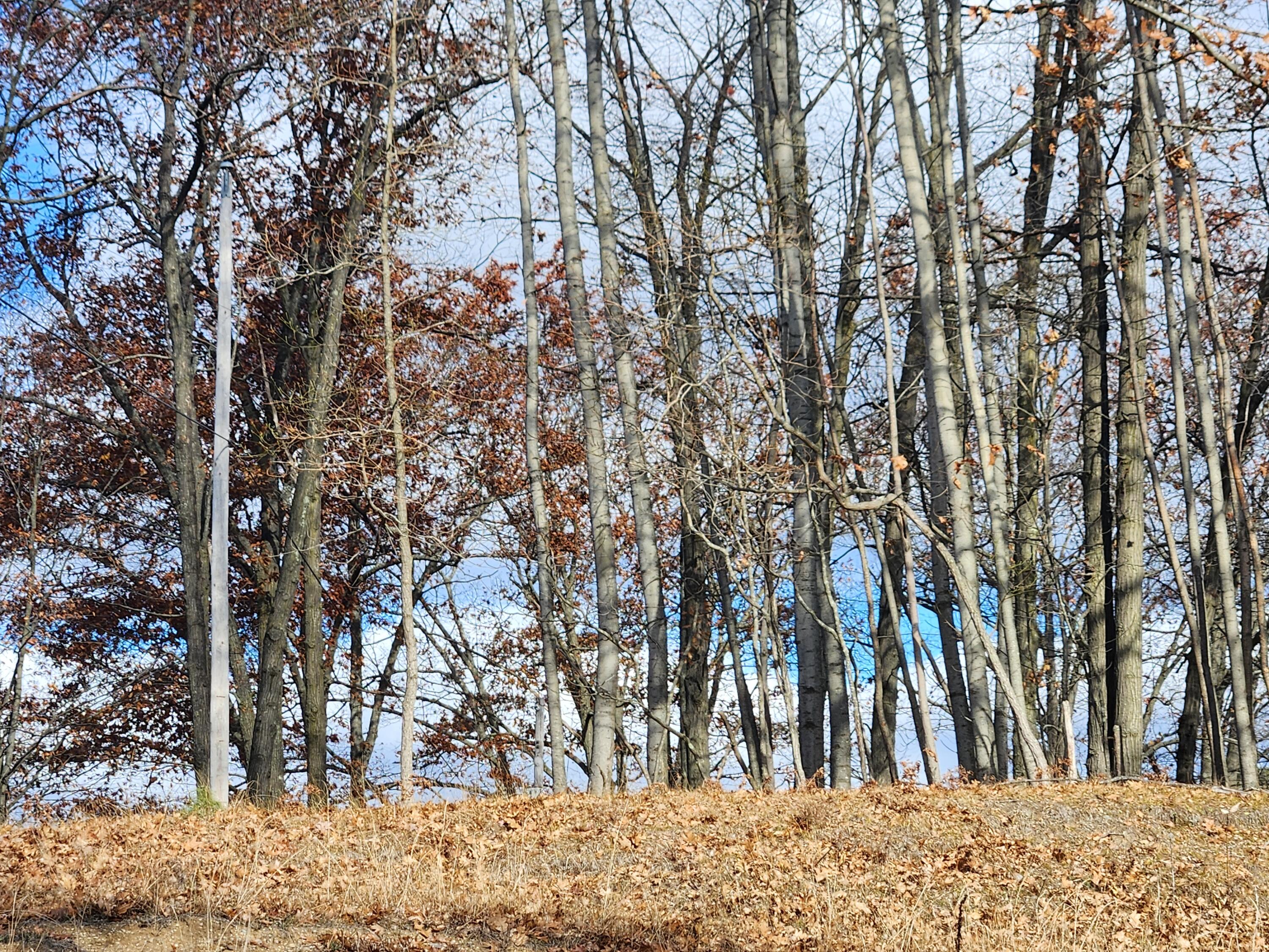 10980 N Marywood Drive