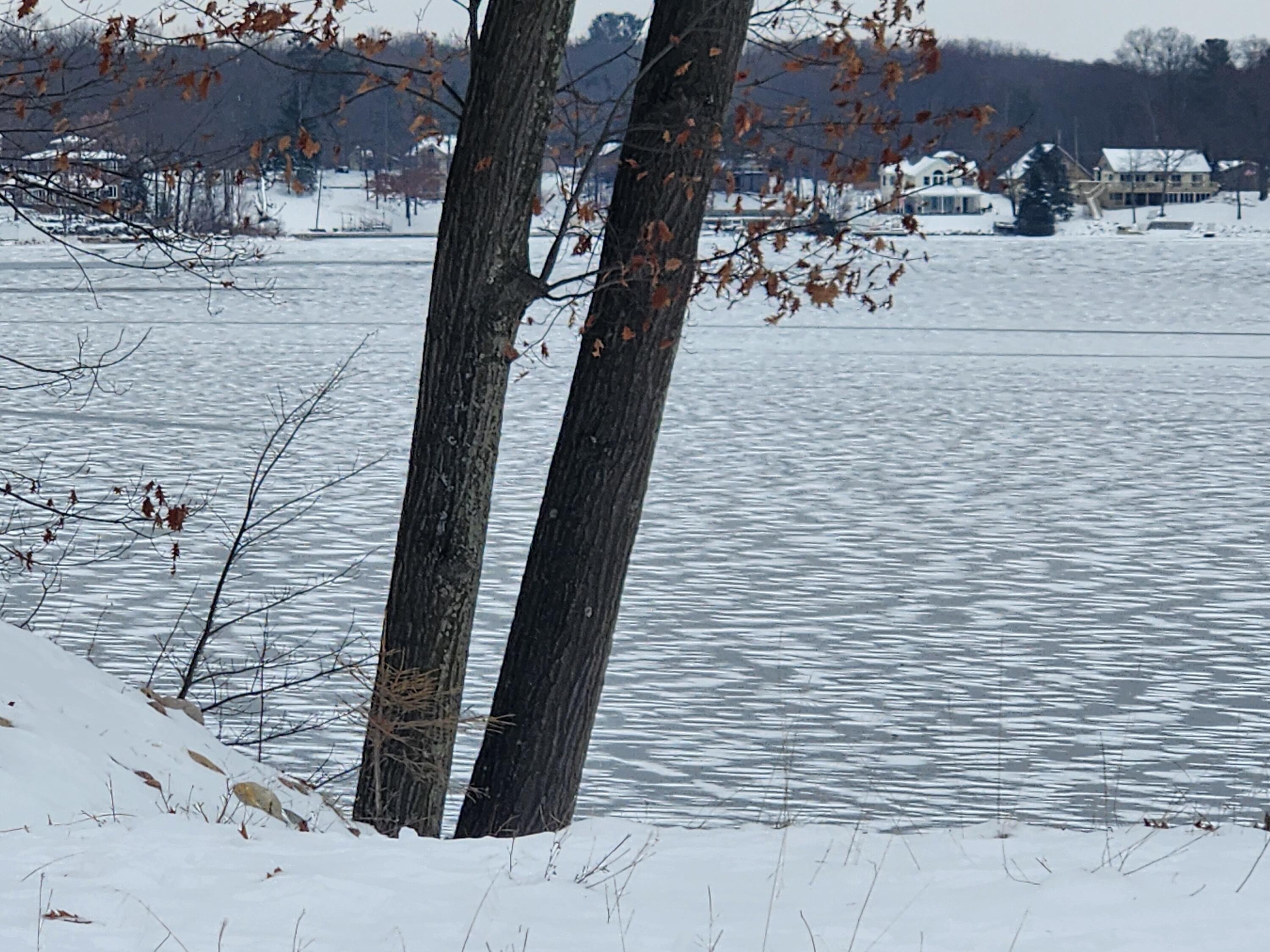 10980 N Marywood Drive