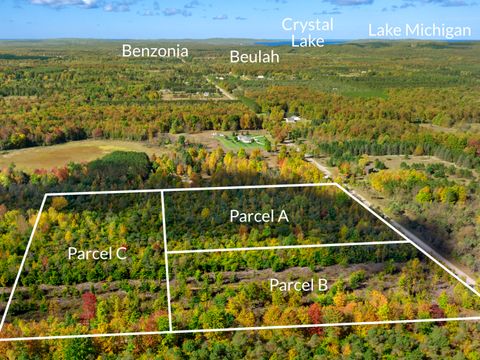 Photo of Parcel A Homestead Road, Beulah, MI 49617 (MLS # 25052105)