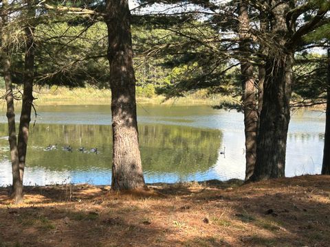 6878 Bantry Bay Stanwood MI 49346