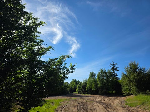 Photo of 10348 E Starlight Ridge Circle, Onekama, MI 49675 (MLS # 26027834)