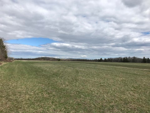 Photo of TBD S Clegg Road, Pickford, MI 49774 (MLS # 26021791)