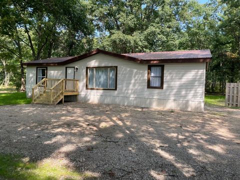 Photo of 7400 W 10 1/2 Mile Rd Road, Irons, MI 49644 (MLS # 25047174)