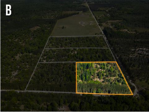 Photo of Parcel B Makinen Road, Kaleva, MI 49645 (MLS # 26033804)