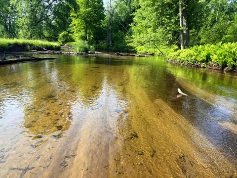 Photo of 17639 N 20th Avenue, Marion, MI 49665 (MLS # 25018154)