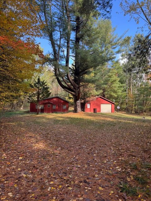 Photo of 416 E Jefferson Road, Hart, MI 49420 (MLS # 25054655)