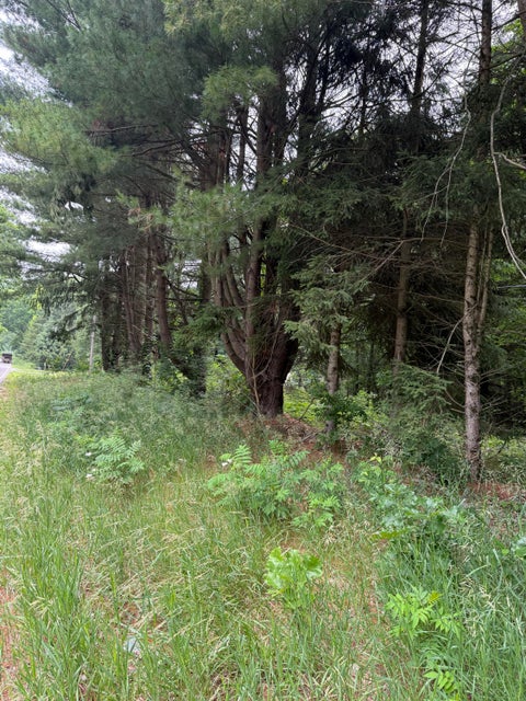 Photo for 23250 W Wood Lake Road