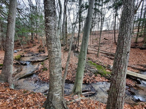 Photo of 8 ACRES, Third Street, Onekama, MI 49675 (MLS # 26043188)