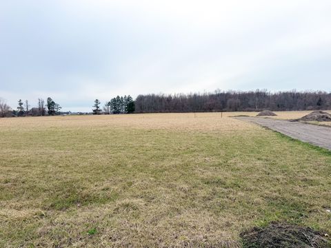 Photo of 14867 Goutz Road, Monroe, MI 48161 (MLS # 26009880)