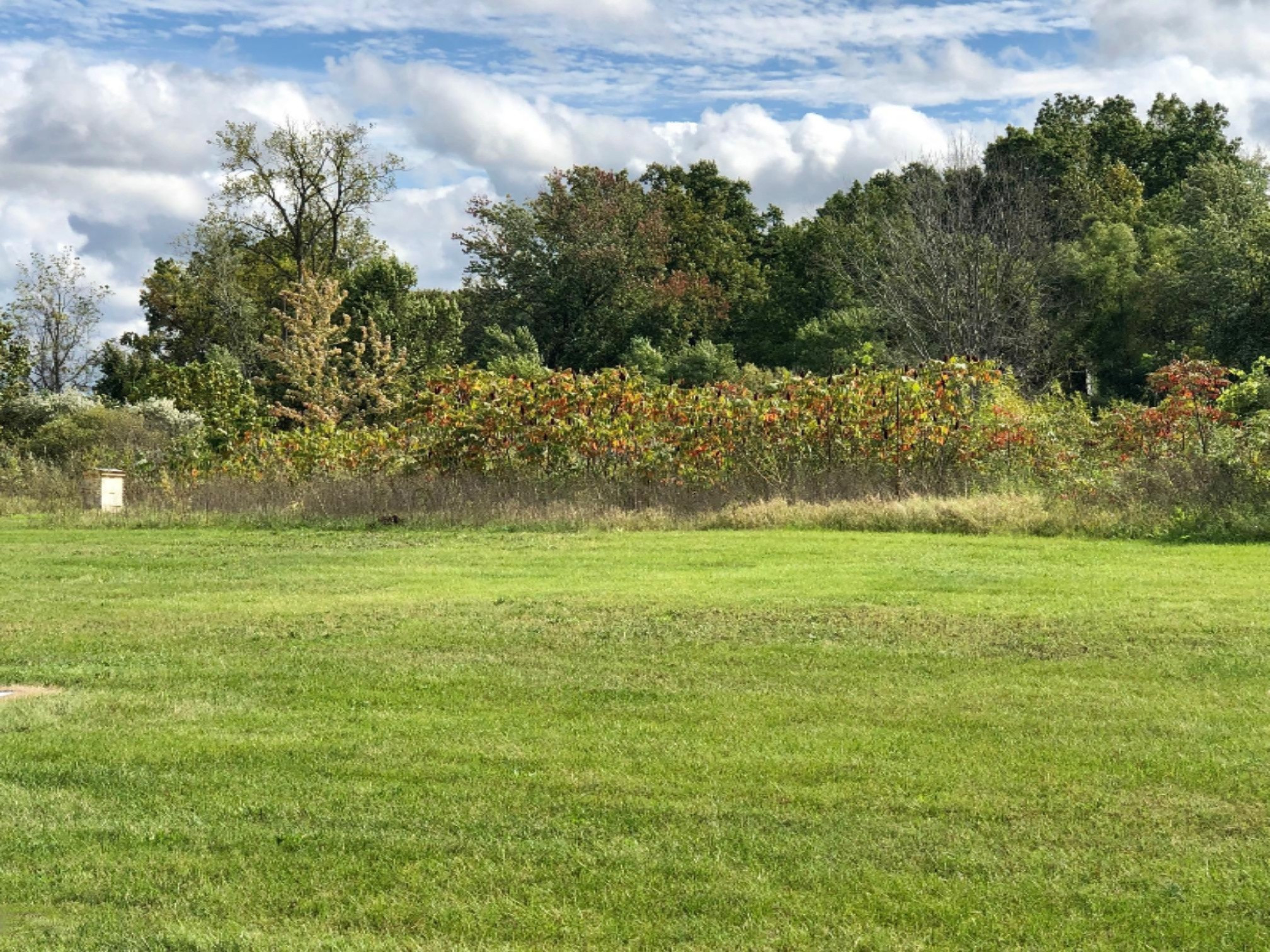 2510 Bay Pointe Drive