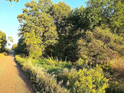 Photo of Wildt Highway, Bellevue, MI 49021 (MLS # 25051557)